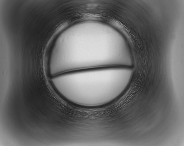 X0000098131235200804171052