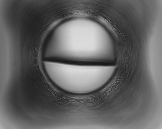 X0000098131237200804171052