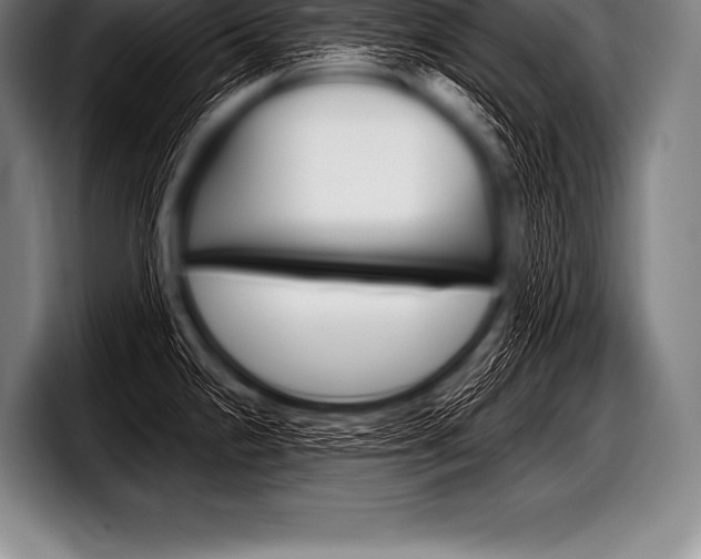 X0000098131238200804171052