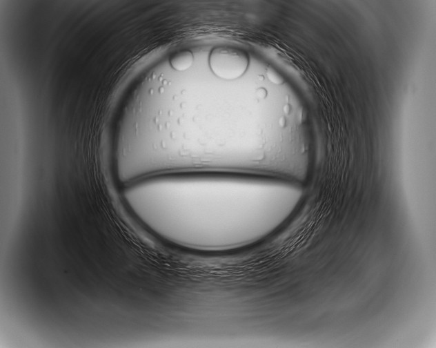 X0000098131239200804171052