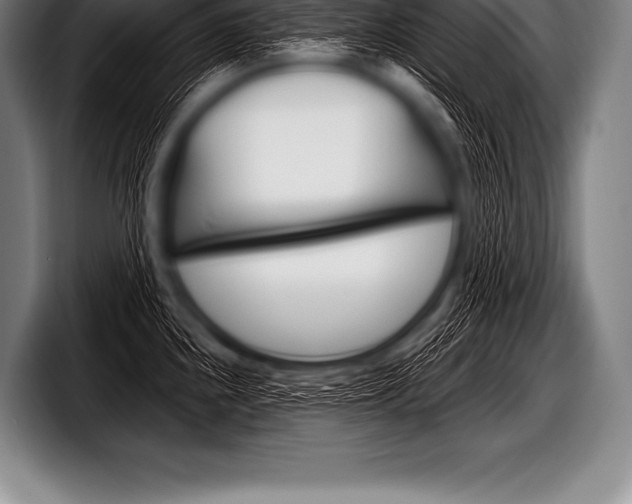 X0000098131240200804171052