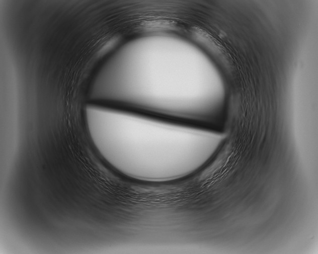 X0000098131241200804171052
