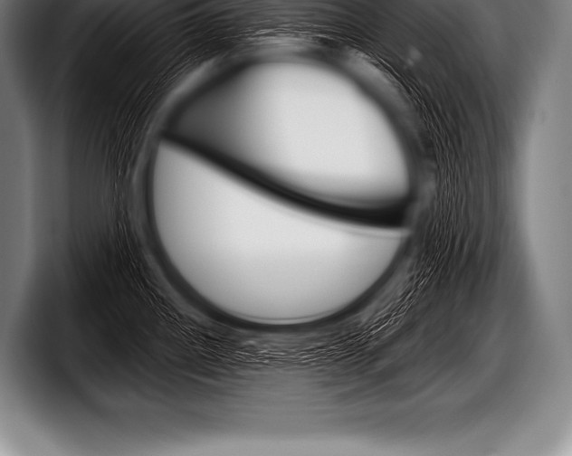 X0000098131242200804171052