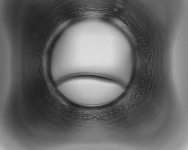 X0000098131243200804171052