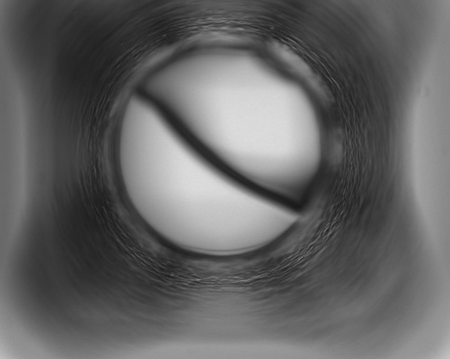 X0000098131244200804171052