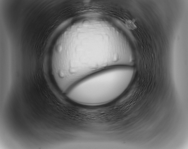 X0000098131245200804171052