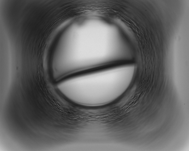 X0000098131246200804171052