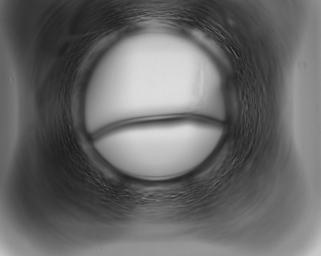 X0000098131247200804171052