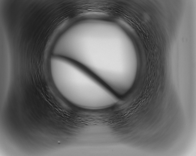 X0000098131248200804171052