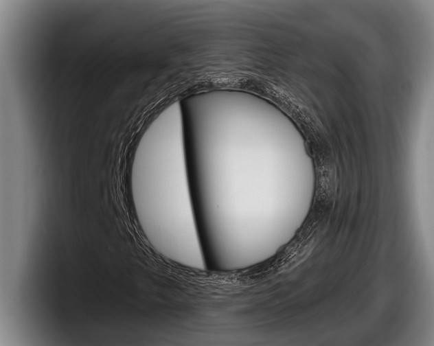 X0000098131249200804171052