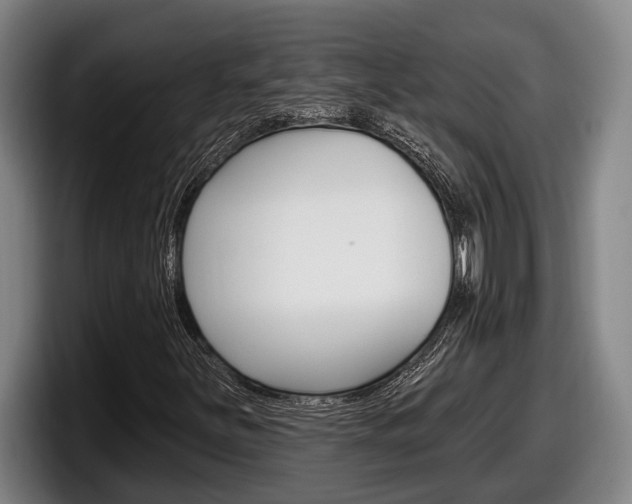 X0000098131251200804171052
