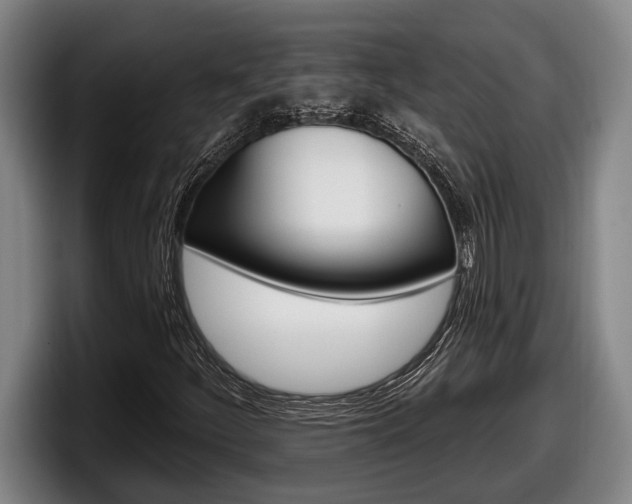 X0000098131252200804171052