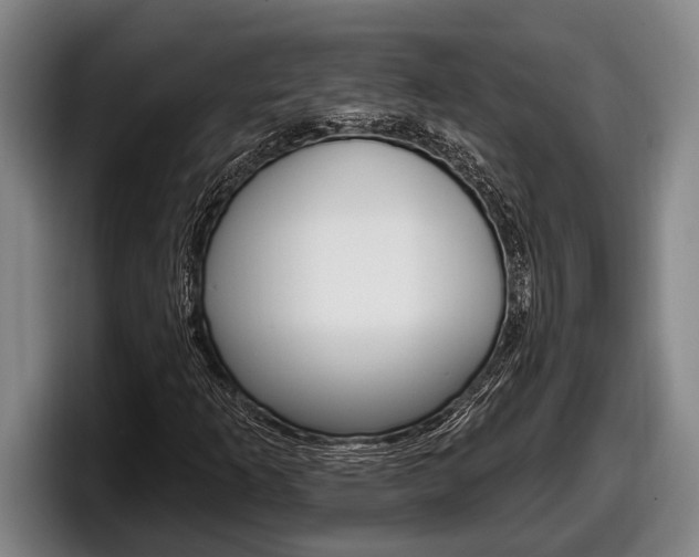 X0000098131253200804171052