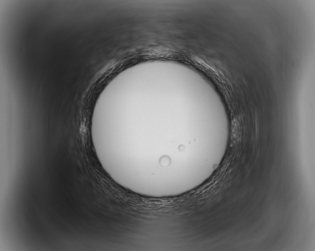 X0000098131254200804171052