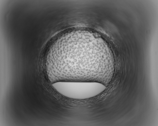 X0000098131255200804171052
