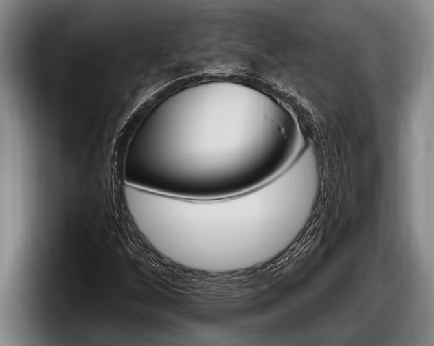 X0000098131256200804171052