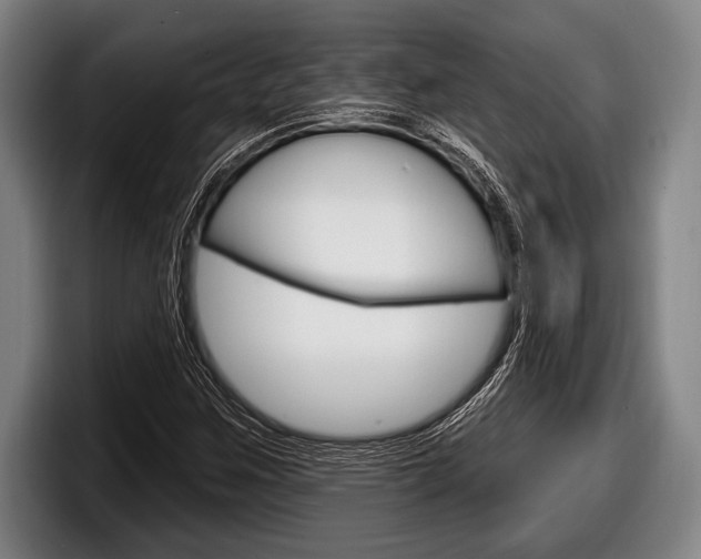 X0000098131259200804171052