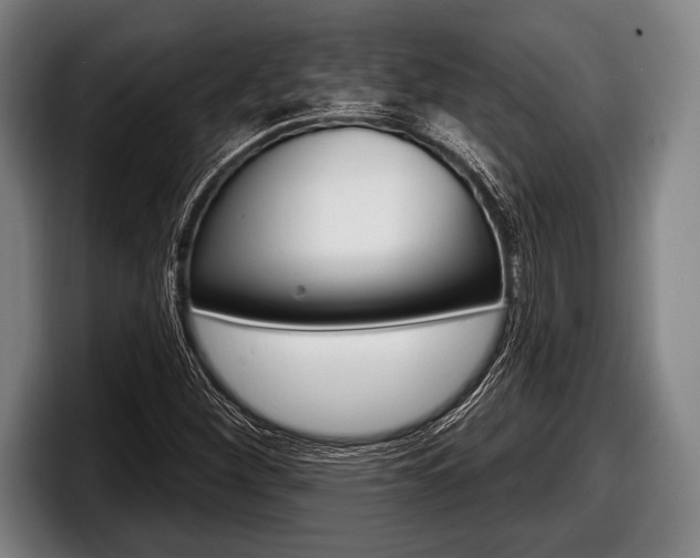 X0000098131260200804171052