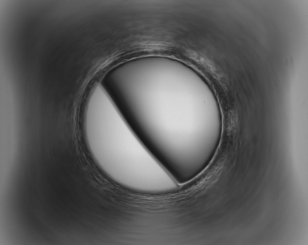 X0000098131261200804171052