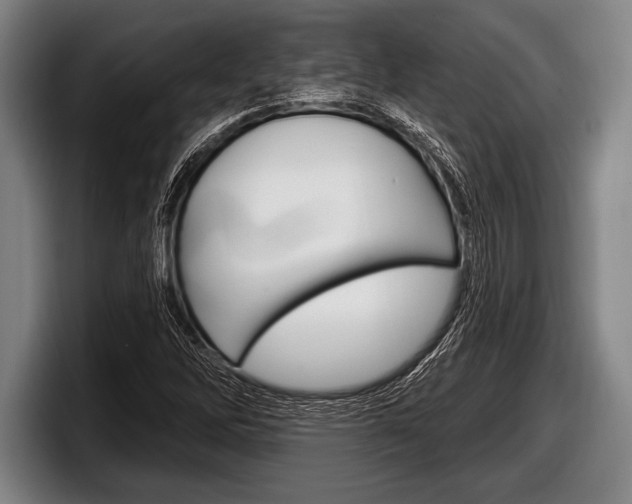X0000098131262200804171052