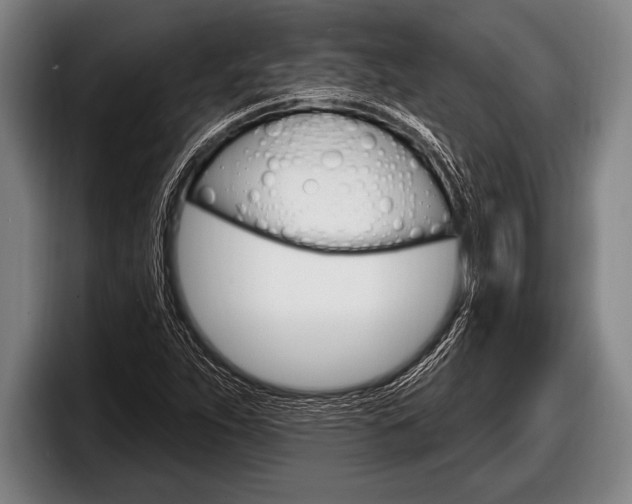 X0000098131263200804171052