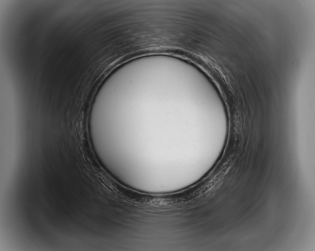 X0000098131265200804171052