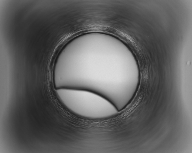 X0000098131267200804171052