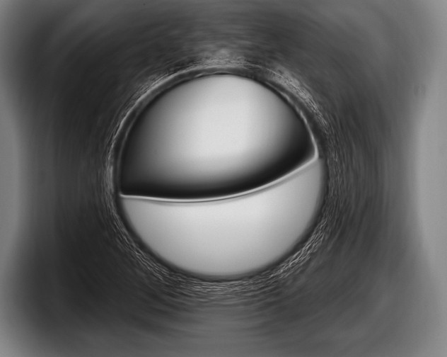 X0000098131268200804171052