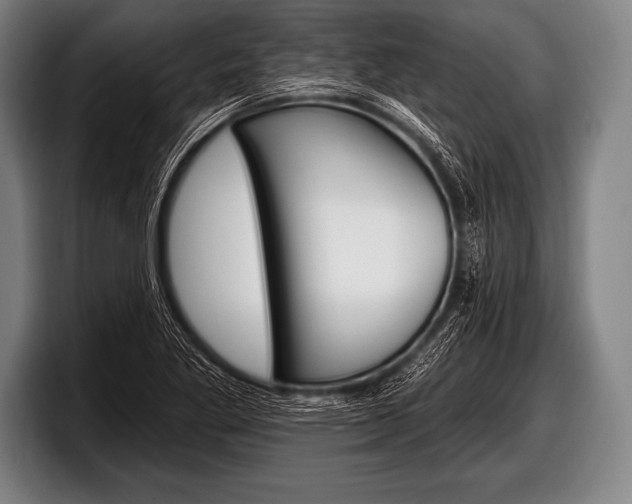 X0000098131269200804171052