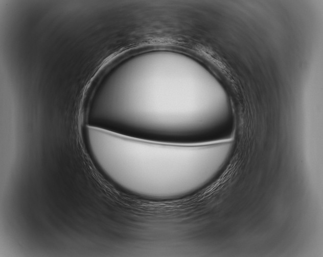 X0000098131272200804171052