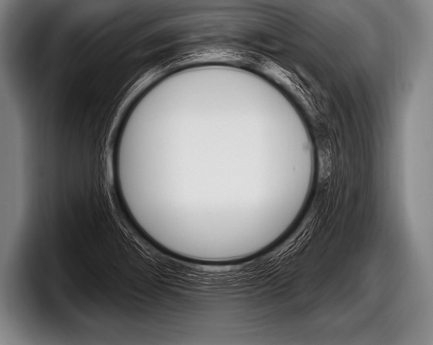 X0000098131274200804171051