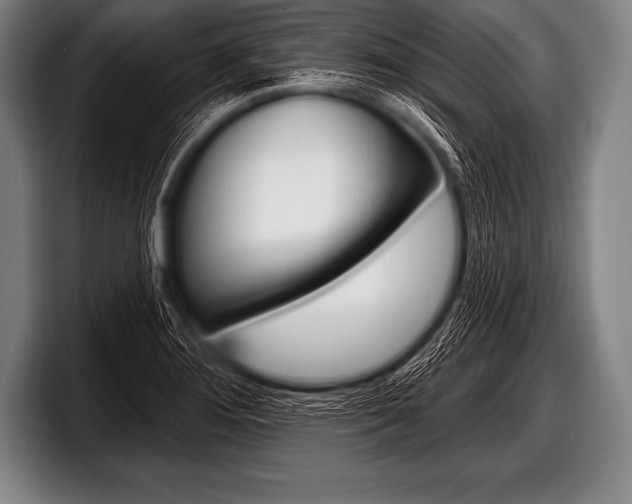 X0000098131276200804171051