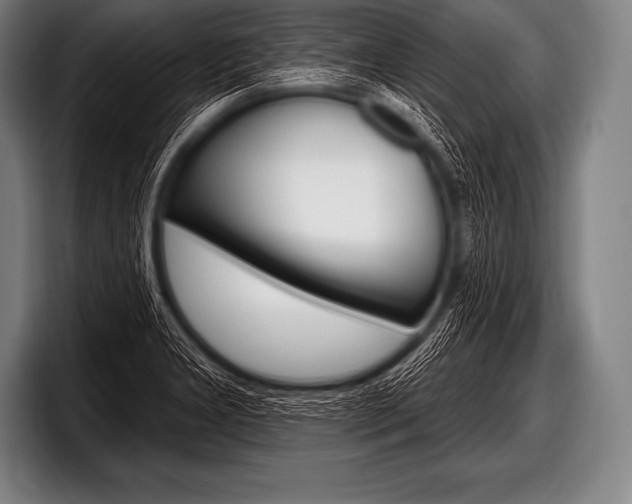 X0000098131277200804171051