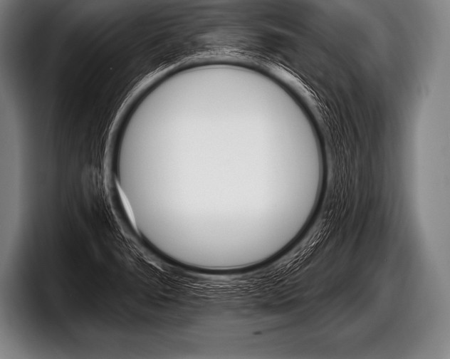 X0000098131278200804171051