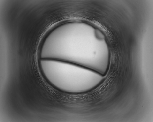 X0000098131279200804171051