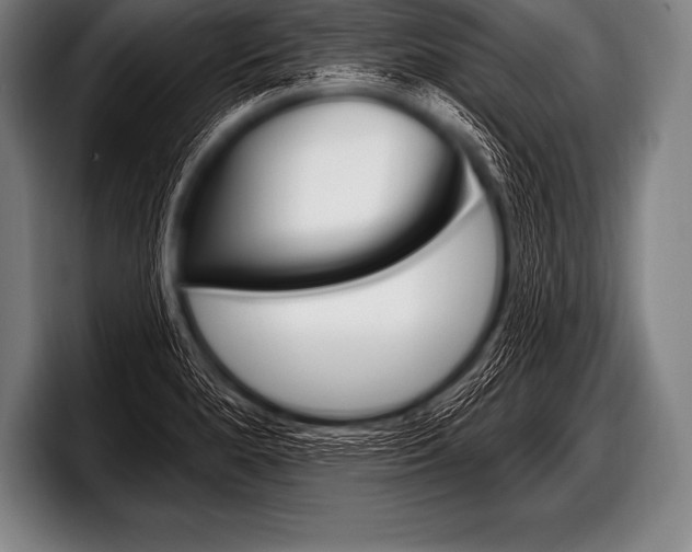 X0000098131280200804171051