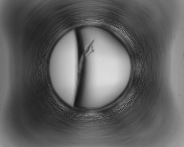 X0000098131281200804171051
