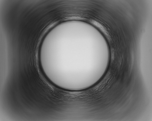 X0000098131282200804171051