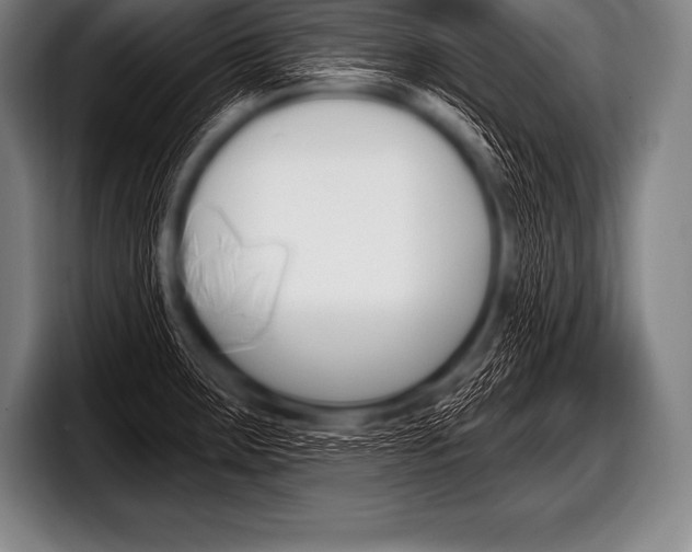 X0000098131283200804171051