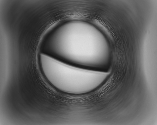 X0000098131285200804171051