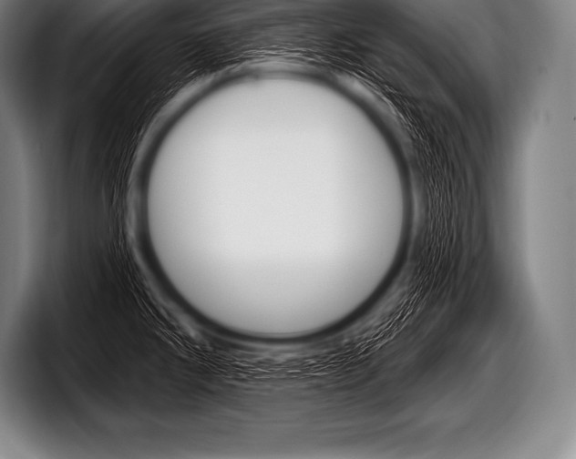 X0000098131286200804171051