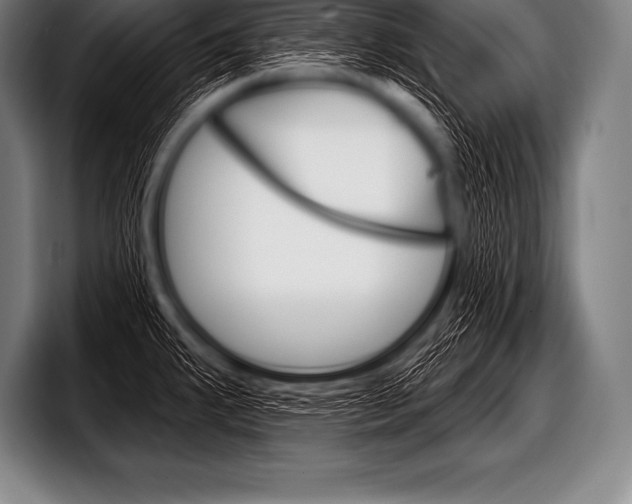 X0000098131287200804171051