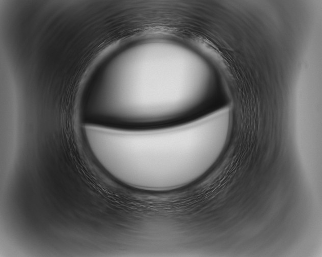 X0000098131288200804171051