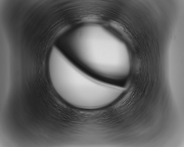 X0000098131289200804171051