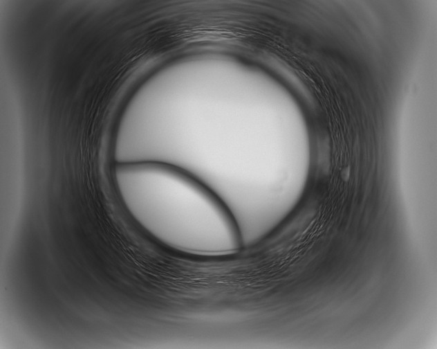 X0000098131291200804171051