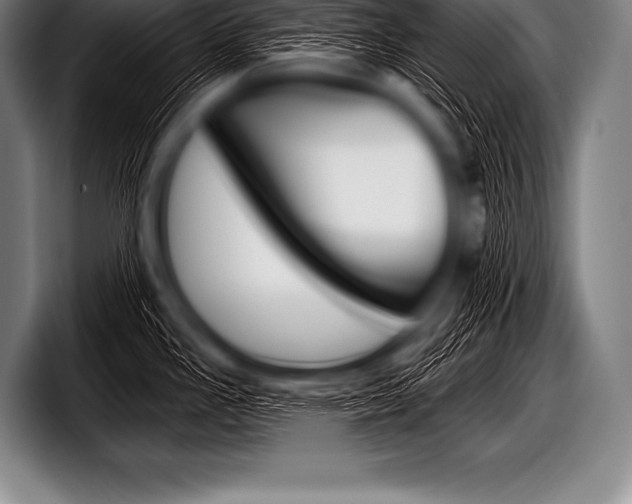X0000098131293200804171051