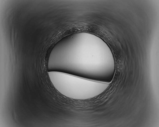 X0000098131298200804171051