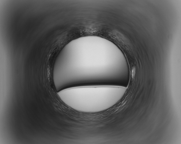 X0000098131299200804171051