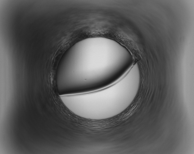 X0000098131300200804171051