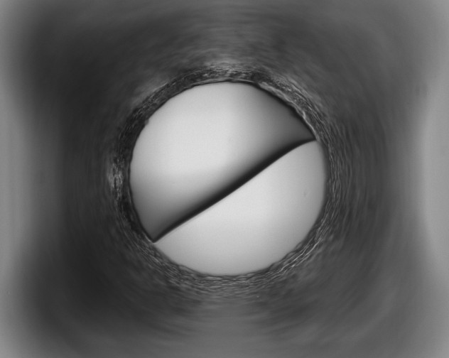 X0000098131302200804171051